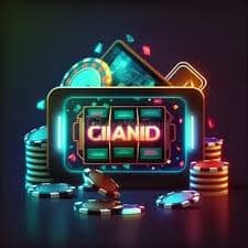 84vnd